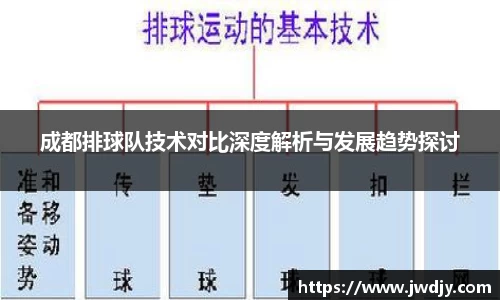 成都排球队技术对比深度解析与发展趋势探讨